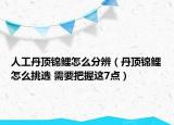 人工丹顶锦鲤怎么分辨（丹顶锦鲤怎么挑选 需要把握这7点）
