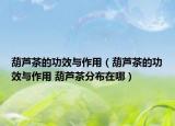 葫芦茶的功效与作用（葫芦茶的功效与作用 葫芦茶分布在哪）