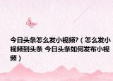 今日头条怎么发小视频?（怎么发小视频到头条 今日头条如何发布小视频）