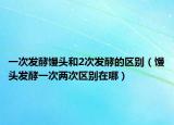 一次发酵馒头和2次发酵的区别（馒头发酵一次两次区别在哪）