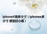 iphoneX有多少寸（iphonex多少寸 感觉好小哦）