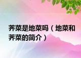 荠菜是地菜吗（地菜和荠菜的简介）