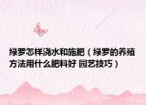 绿罗怎样浇水和施肥（绿罗的养殖方法用什么肥料好 园艺技巧）