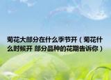 菊花大部分在什么季节开（菊花什么时候开 部分品种的花期告诉你）