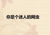 你是个迷人的网虫