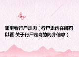 哪里看行尸走肉（行尸走肉在哪可以看 关于行尸走肉的简介信息）
