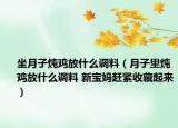 坐月子炖鸡放什么调料（月子里炖鸡放什么调料 新宝妈赶紧收藏起来）