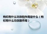 枸杞有什么功效和作用是什么（枸杞有什么功效跟作用）
