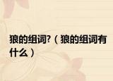 狼的组词?（狼的组词有什么）