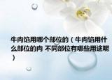 牛肉馅用哪个部位的（牛肉馅用什么部位的肉 不同部位有哪些用途呢）