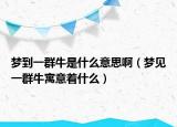 梦到一群牛是什么意思啊（梦见一群牛寓意着什么）