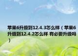 苹果6升级到12.4.3怎么样（苹果6升级到12.4.2怎么样 有必要升级吗）