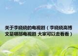 关于李晓晓的电视剧（李晓晓高博文是哪部电视剧 大家可以去看看）