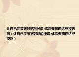让自己炒菜更好吃的秘诀 你需要知道这些技巧吗（让自己炒菜更好吃的秘诀 你需要知道这些技巧）