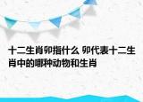 十二生肖卯指什么 卯代表十二生肖中的哪种动物和生肖