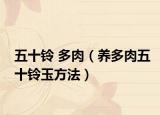 五十铃 多肉（养多肉五十铃玉方法）