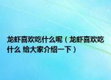 龙虾喜欢吃什么呢（龙虾喜欢吃什么 给大家介绍一下）