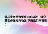 灯芯麦冬百合煲瘦肉的功效（灯心草麦冬煲瘦肉功效 下面我们来看看）