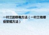 一叶兰的移栽方法（一叶兰有哪些繁殖方法）