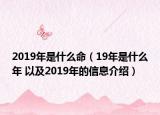 2019年是什么命（19年是什么年 以及2019年的信息介绍）