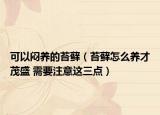 可以闷养的苔藓（苔藓怎么养才茂盛 需要注意这三点）