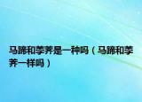 马蹄和荸荠是一种吗（马蹄和荸荠一样吗）