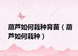 葫芦如何栽种育苗（葫芦如何栽种）