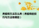 养蜜蜂方法怎么养（养蜜蜂的技巧与方法有哪些）