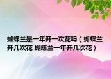 蝴蝶兰是一年开一次花吗（蝴蝶兰开几次花 蝴蝶兰一年开几次花）