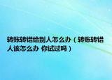 转账转错给别人怎么办（转账转错人该怎么办 你试过吗）