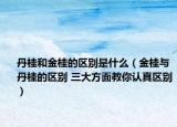 丹桂和金桂的区别是什么（金桂与丹桂的区别 三大方面教你认真区别）