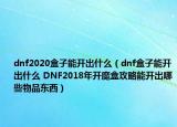 dnf2020盒子能开出什么（dnf盒子能开出什么 DNF2018年开魔盒攻略能开出哪些物品东西）