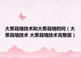 大葱栽培技术和大葱栽培时间（大葱栽培技术 大葱栽培技术完整版）