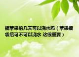摘苹果前几天可以浇水吗（苹果摘袋后可不可以浇水 这很重要）