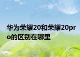 华为荣耀20和荣耀20pro的区别在哪里