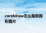 coreldraw怎么裁剪圆形图片