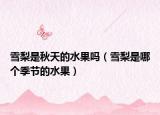 雪梨是秋天的水果吗（雪梨是哪个季节的水果）