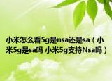 小米怎么看5g是nsa还是sa（小米5g是sa吗 小米5g支持Nsa吗）