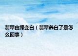 翡翠由绿变白（翡翠养白了是怎么回事）