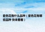 紫色花有什么品种（紫色花有哪些品种 快来看看）