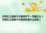 不知天上宫阙今夕是何年下一句是什么（不知天上宫阙今夕是何年是什么意思）