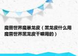 魔兽世界魔暴龙皮（黑龙皮什么用 魔兽世界黑龙皮干嘛用的）