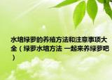 水培绿萝的养殖方法和注意事项大全（绿萝水培方法 一起来养绿萝吧）