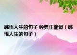 感悟人生的句子 经典正能量（感悟人生的句子）