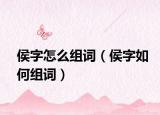 侯字怎么组词（侯字如何组词）