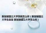 新加坡国立大学到底怎么样（新加坡国立大学含金量 新加坡国立大学怎么样）