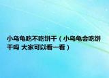 小乌龟吃不吃饼干（小乌龟会吃饼干吗 大家可以看一看）