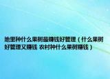 地里种什么果树最赚钱好管理（什么果树好管理又赚钱 农村种什么果树赚钱）