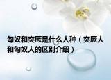匈奴和突厥是什么人种（突厥人和匈奴人的区别介绍）