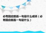 必有回应前面一句是什么成语（必有回应前面一句是什么）